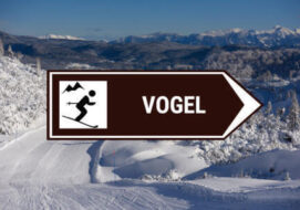camera skier Vogel