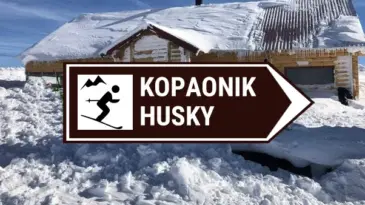 Kopaonik husky restoran kamere uzivo