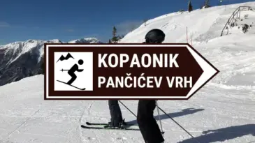 kopaonik pancicev vrh uzivo kamera